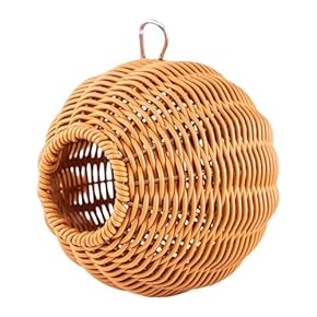 鳥の巣・巣箱 - Amazon.co.jp